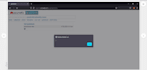 do advance penetration on web site,pen test server and vulnerability assessment