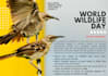 create attention grabbing and innovative posters