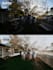 add or remove person, object, or text, and change the background using photoshop
