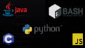 do your python, java, c, java script bash programming works
