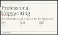write SEO optimized website content and blog posts