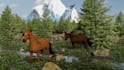 do a small scale 3d modeling and animation