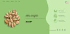 be your front end web developer in HTML CSS javascript