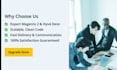update your magento store with hyva theme