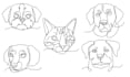 draw custom animal portrait in one line style