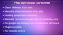 clean malware of full server or any website and setup security