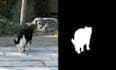 do custom object detection, segmentation and classification