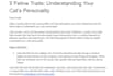 write SEO optimized dog articles and pet blog