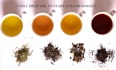 teach you how to start a tea business
