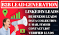 do b2b lead generation for targeted linkdin leads and business leads