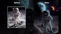 do fantasy adobe photoshop editing and retouching