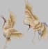do fast embroidery digitizing
