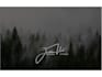 do scripted cursive handwritten logo signature