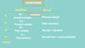 design powerpoint slides and presentations
