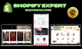 developer shopify , one product shopify store , shopify dropshipping store