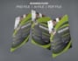 design music festival, party or event poster or flyer