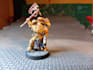 assemble, undercoat and paint your miniatures