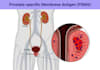 design medical, scientific figure, graphical abstract