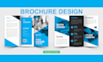 design business brochures, profiles and brand identity design