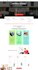 design a proffesional and elegant ecommerce in wordpress