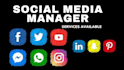 be your social media manager