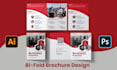 do professional bi fold, tri fold and multipage brochure