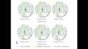 create architectural mapping, site analysis and proposal