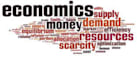 do economics case studies and essays for you