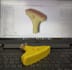 convert your 2d image, sketch or photo to 3d model stl file for 3d print