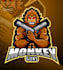 do make an modern custom monkey logo