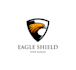 design a professional modern eagle logo