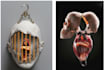 do photo manipulation, editing and photo combining