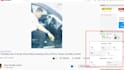 do complete youtube channel setup SEO optimization service