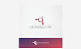 do feminine natural technology logo design