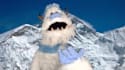 have frederick the yeti create a custom puppet video