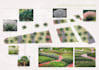 propose to you a professionnal design of your garden
