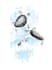 draw a water animal tattoo design for you