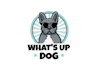do a modern professional animal and pet logo design