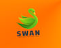 design swan logo with creative concepts