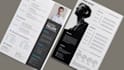 land your dream job professional resume and CV design