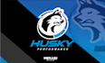 design auto car racing, mascot, auto detailing, and auto repair logo