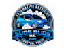 design excellent car detailing logo