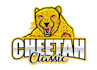 design wonderful cheetah logo