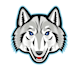 design a professional modern wolf logo