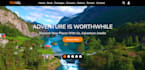 create dynamic website that you want and custom development