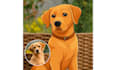 draw a cute pet vector in cartoon style