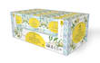 do packaging box design, mailer box and 3d mockup