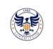 design a professional modern  eagle logo