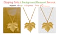 do background removal and clipping path service fast delivery