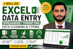 do excel data entry, data cleaning and spreadsheet formatting